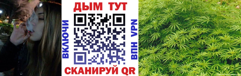 Виды наркоты Волхов Амфетамин  ГАШИШ  Кокаин  A PVP 