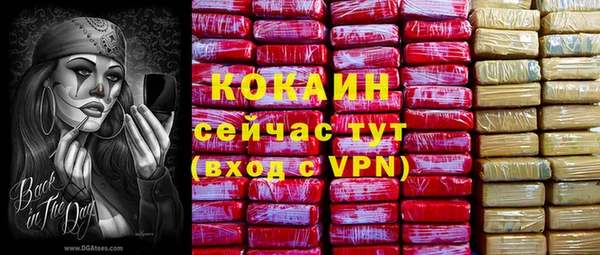 хмурый Алексин