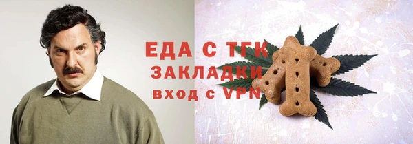 хмурый Алексин