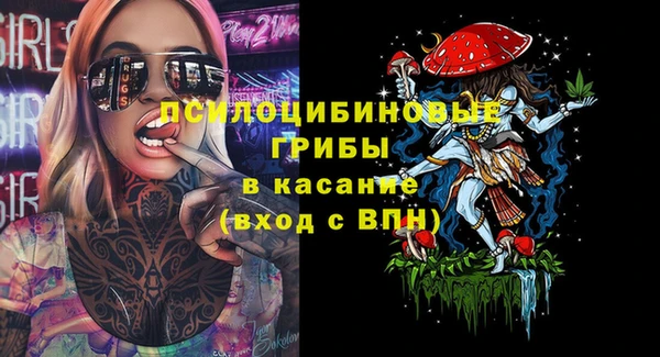 PSILOCYBIN Алексеевка