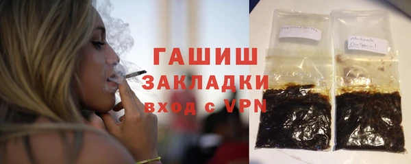 хмурый Алексин