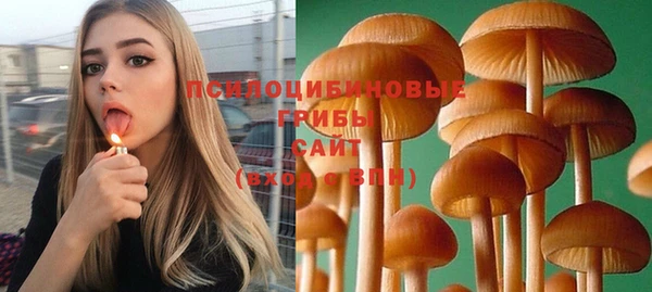 хмурый Алексин